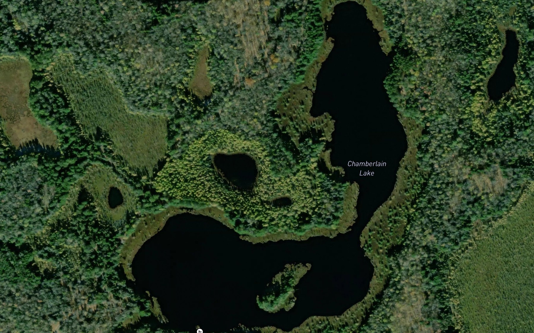 Satellite map of the Chamberlain Lake