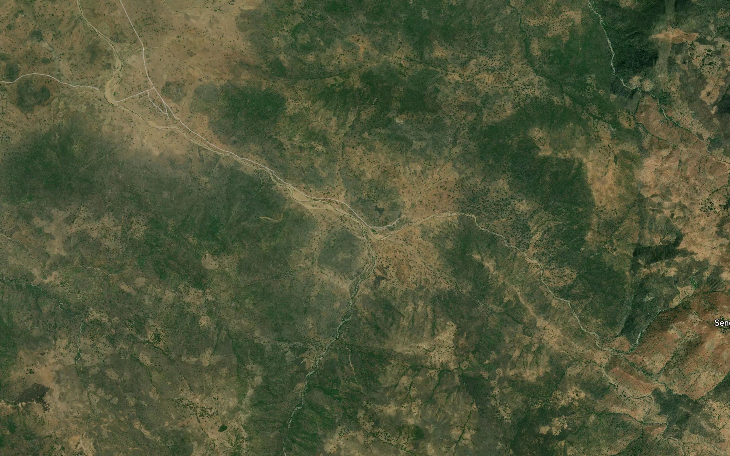 RiverDambili