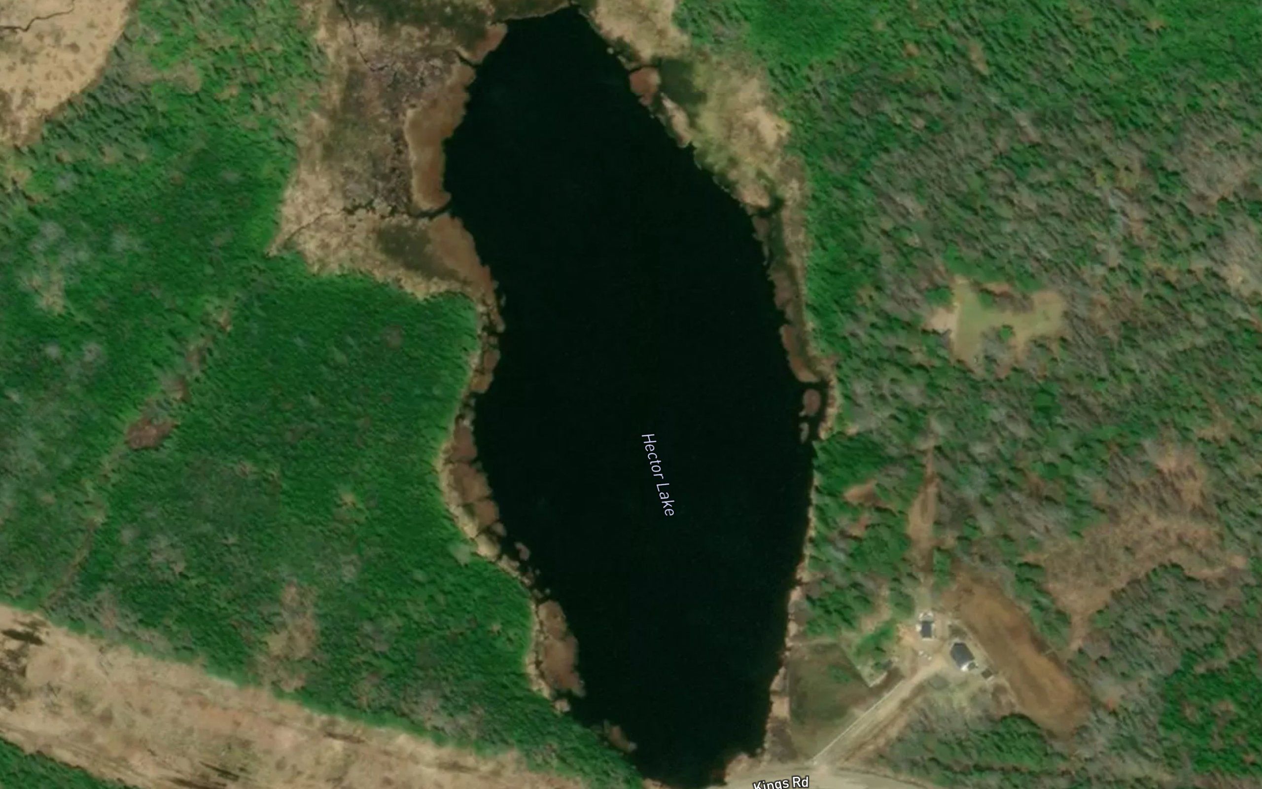 Hector Lake