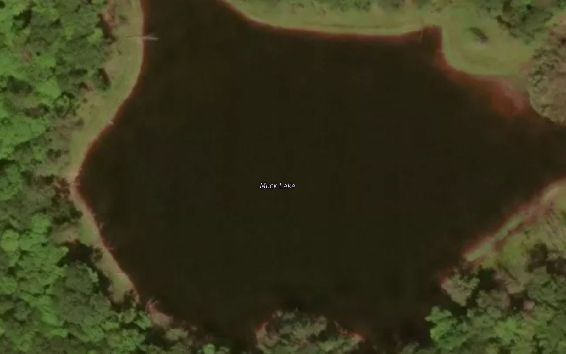 Satellite map of the Muck Lake