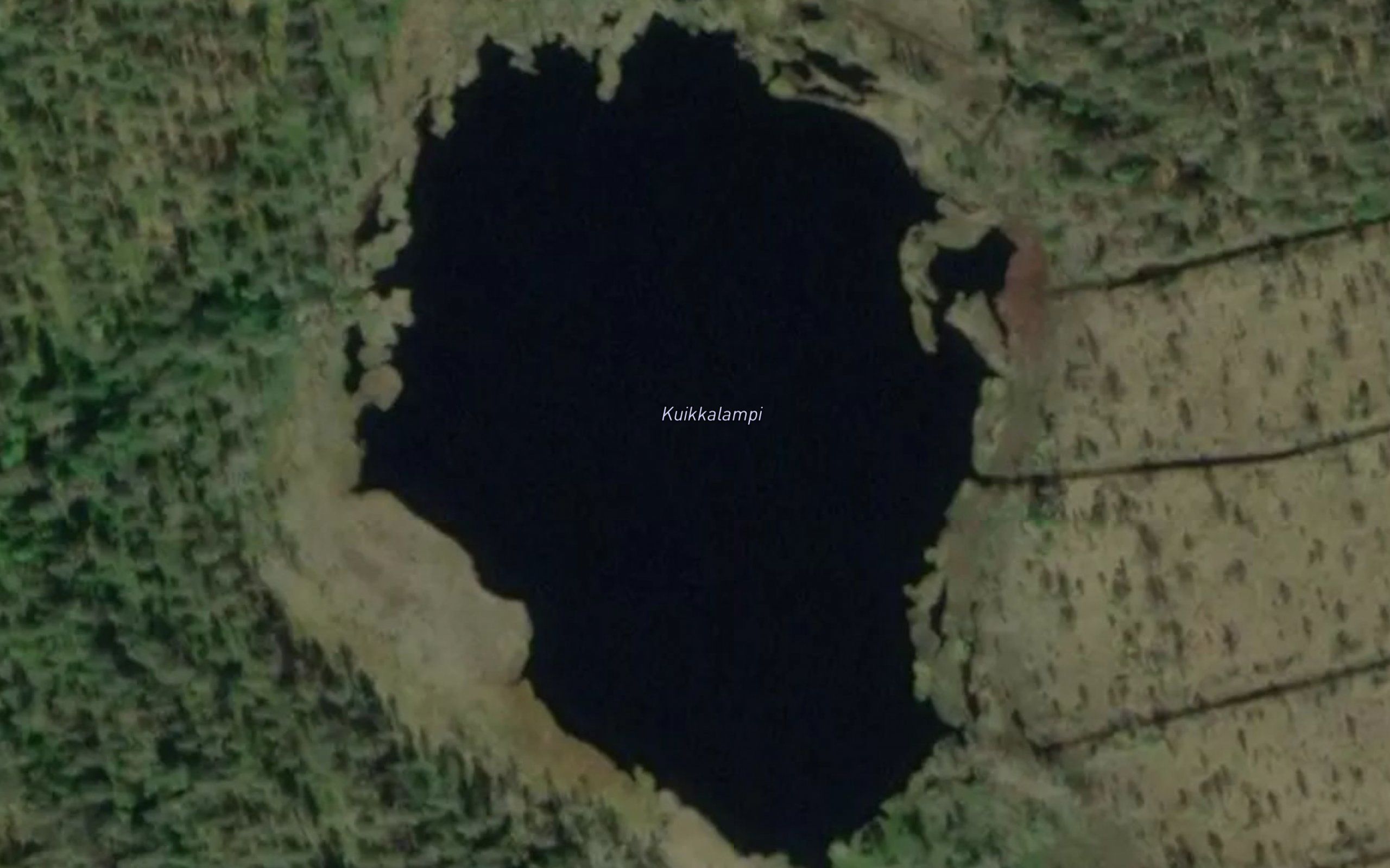 Kuikkalampi