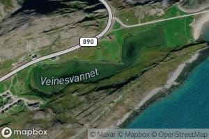 Veinesvatnet