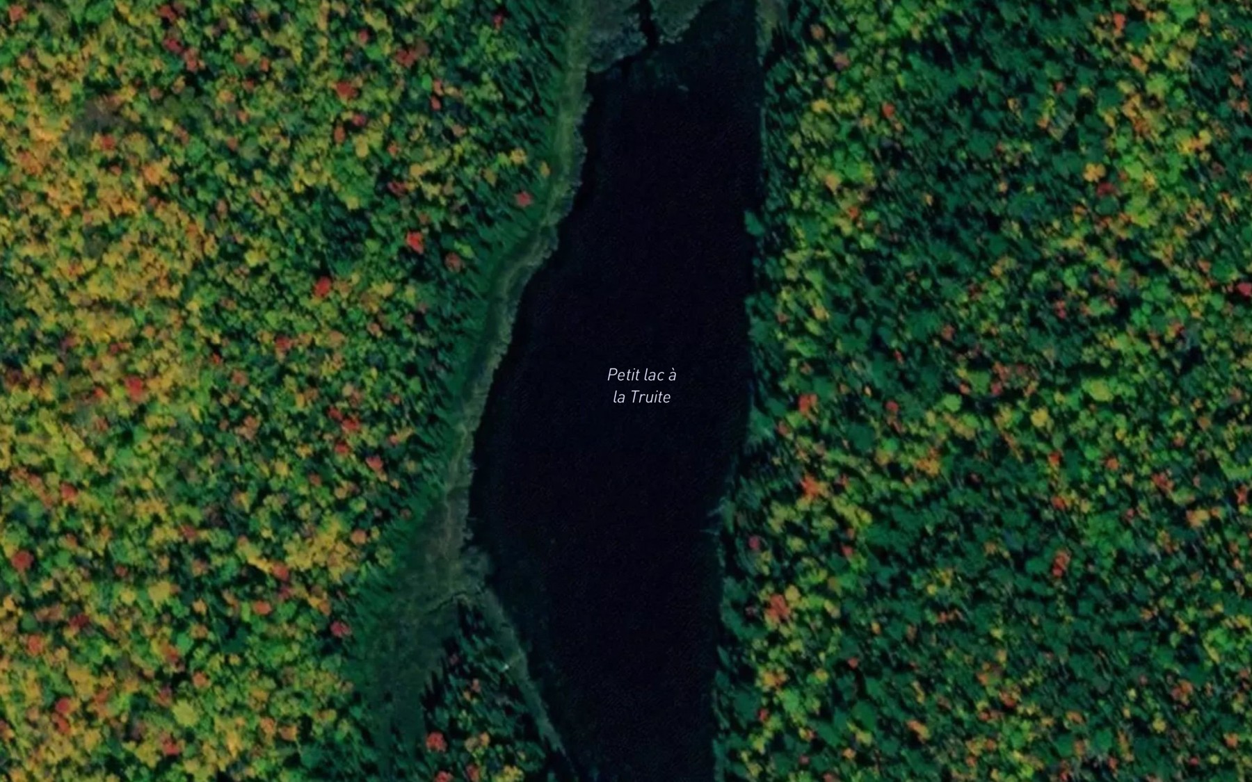 Satellite map of the Petit lac a la Truite