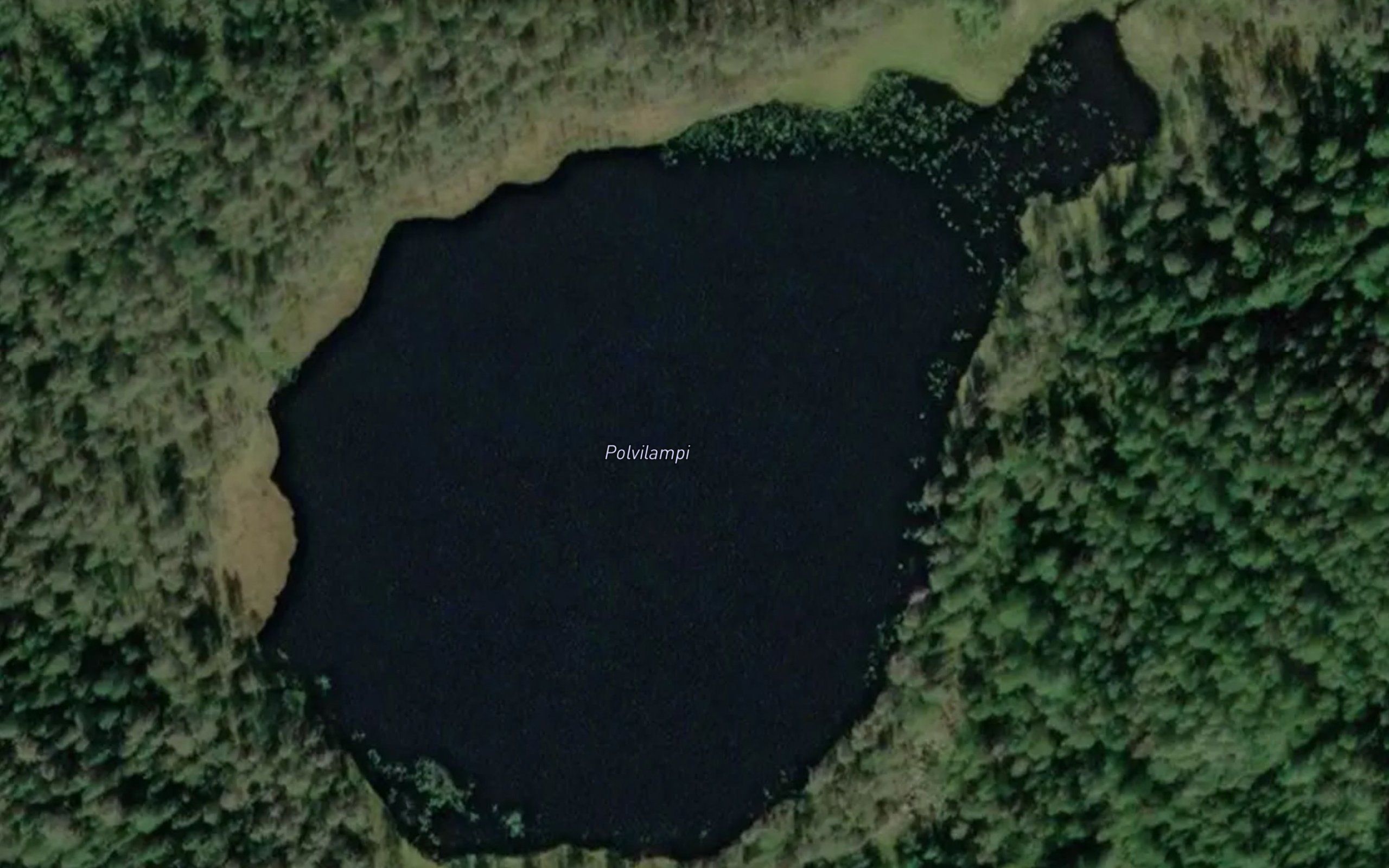 Polvilampi