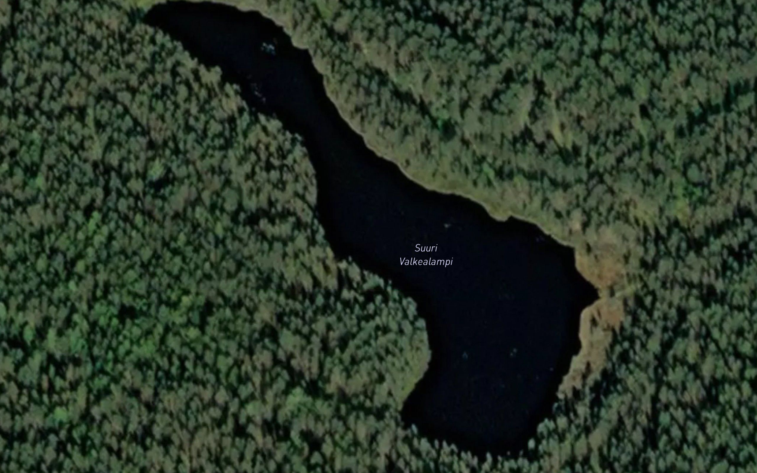 Suuri Valkealampi