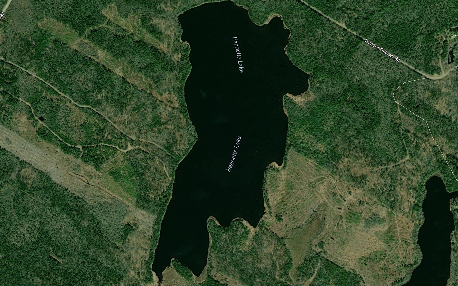 Satellite map of the Henriette Lake