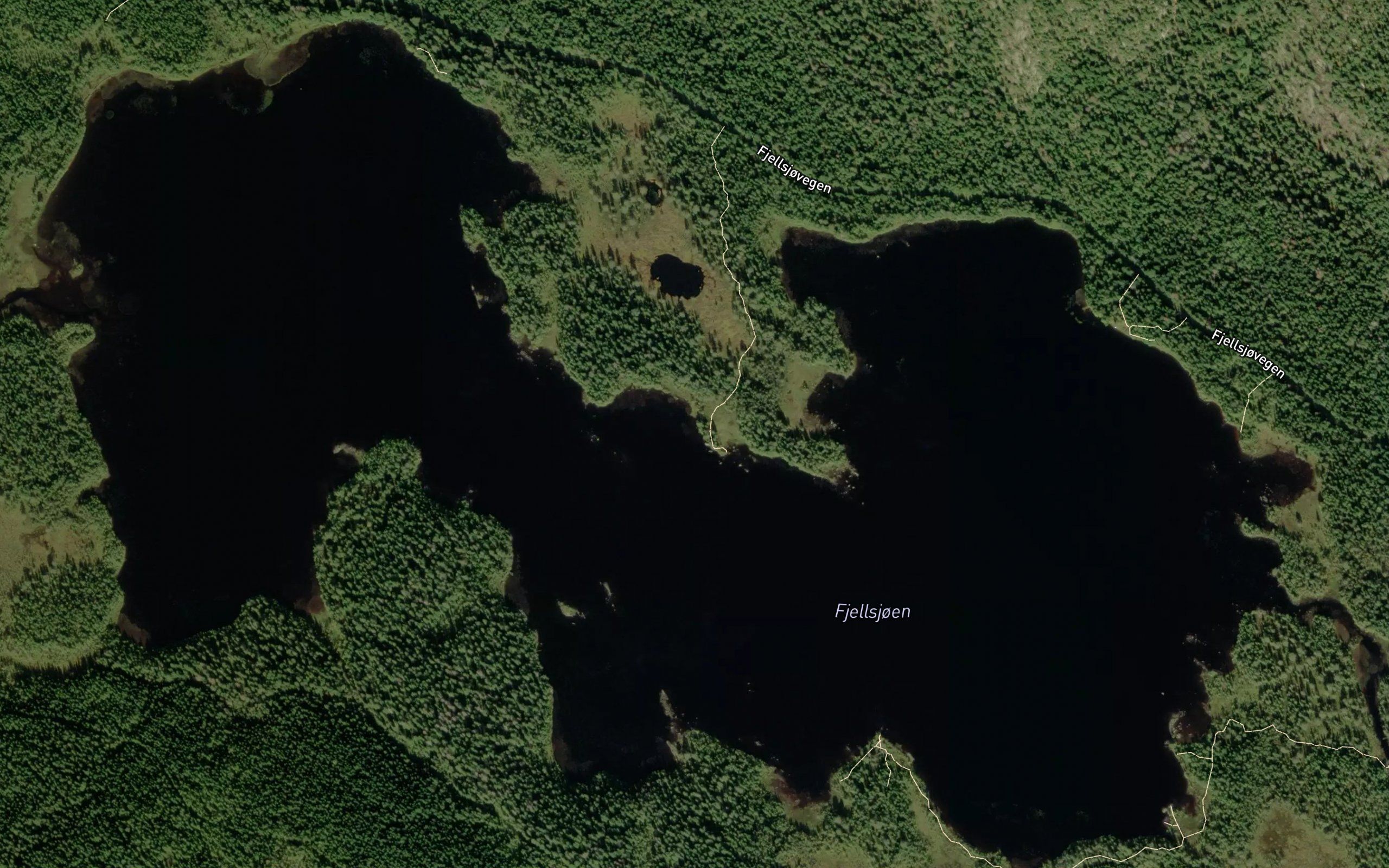 Fjellsjoen