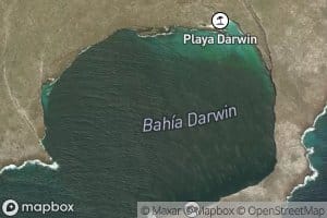Bahia Darwin