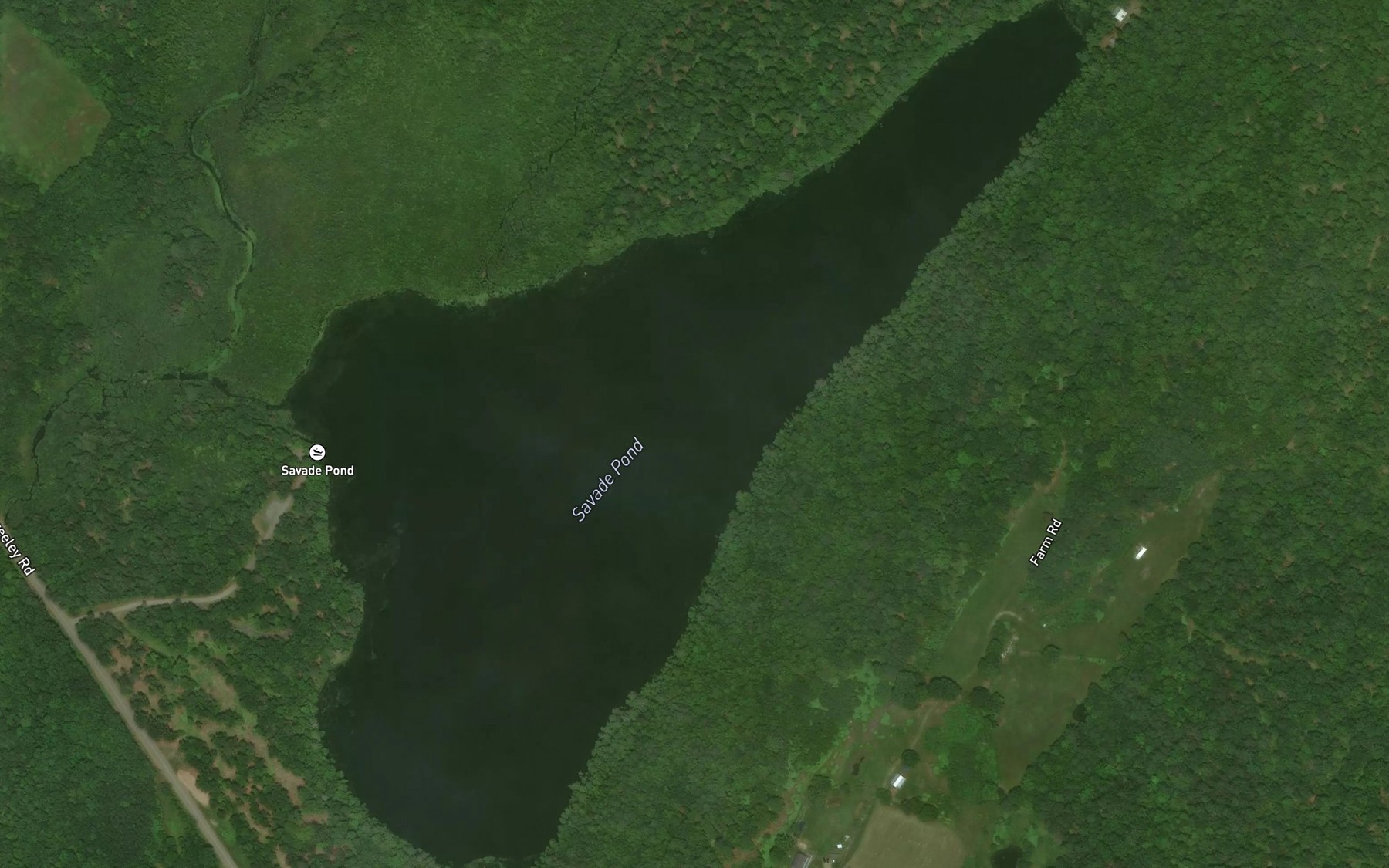 Satellite map of the Savade Pond