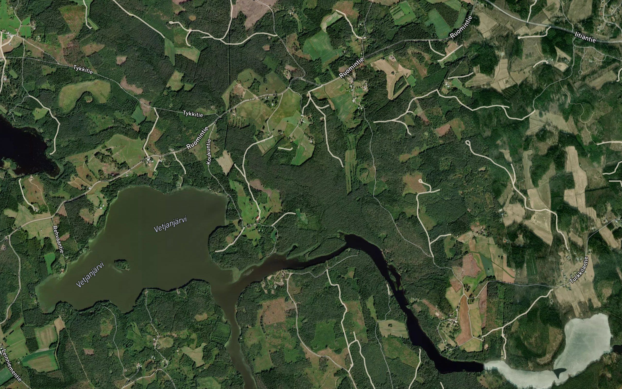 Hakulinjoki