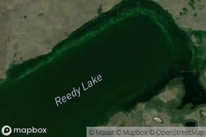 Reedy Lake