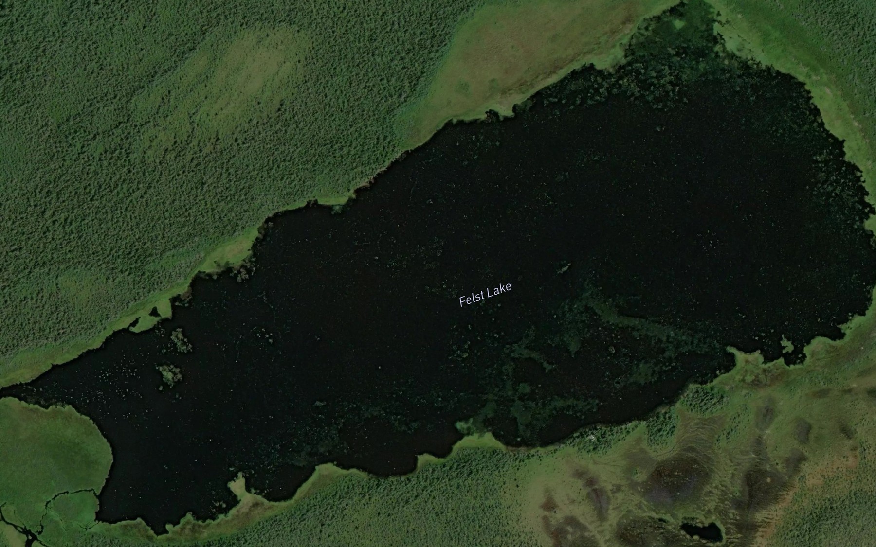 Satellite map of the Felst Lake