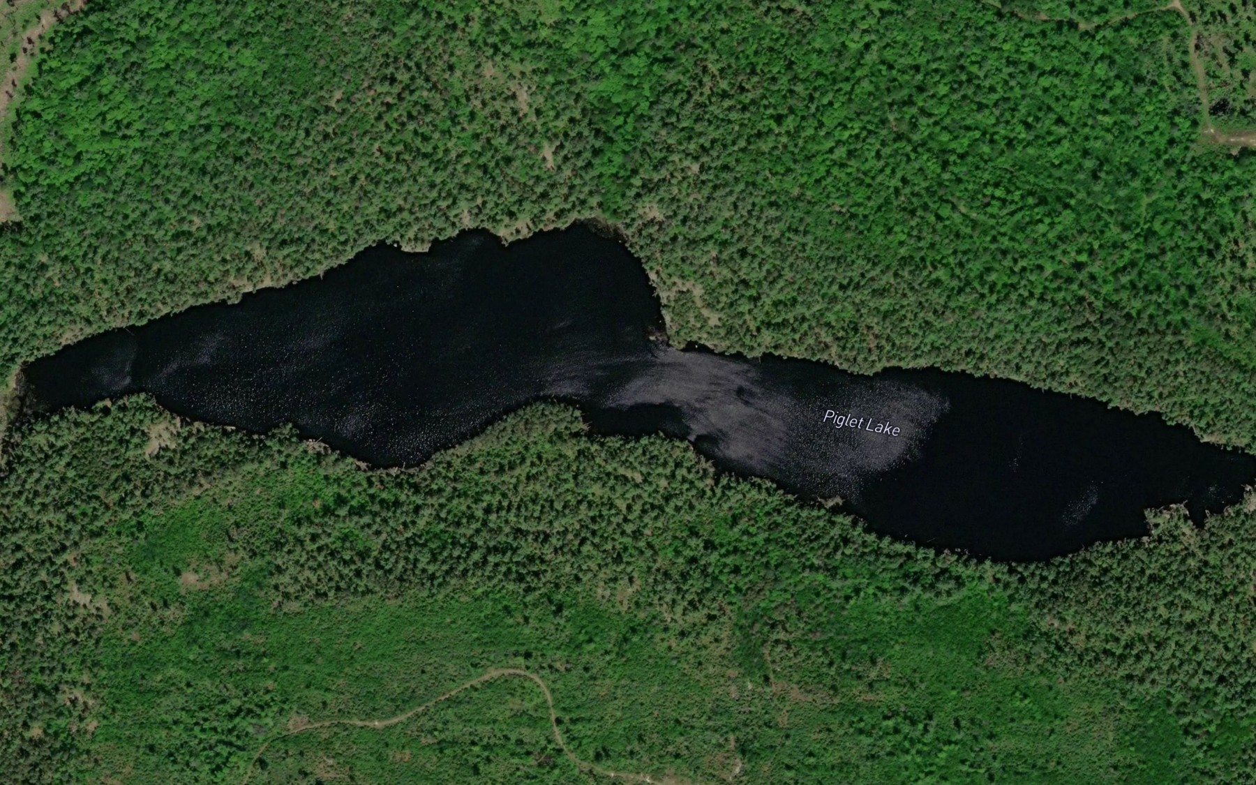 Satellite map of the Piglet Lake
