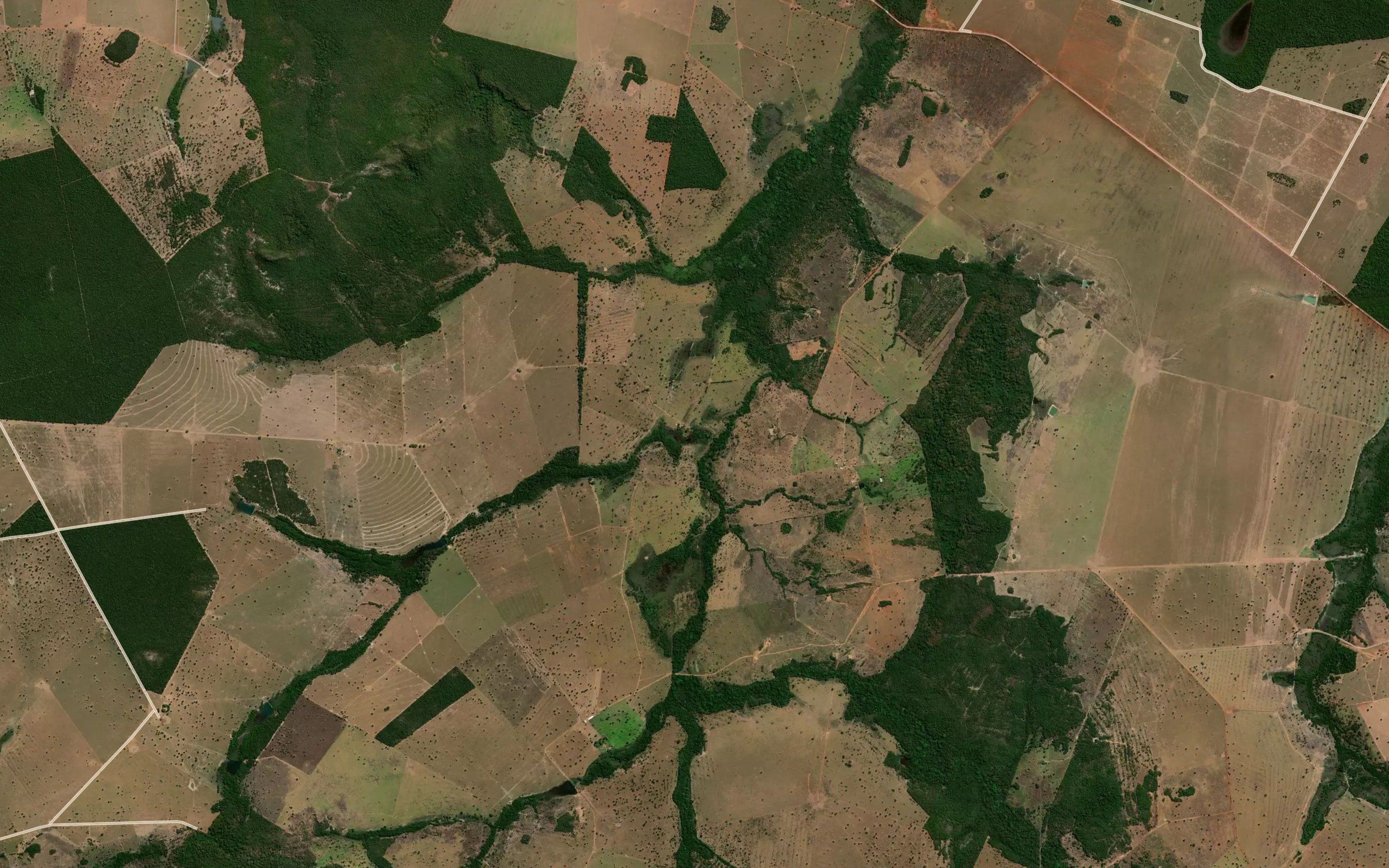 Corrego Lagosta