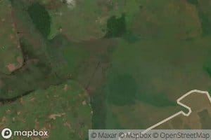 Ginangola