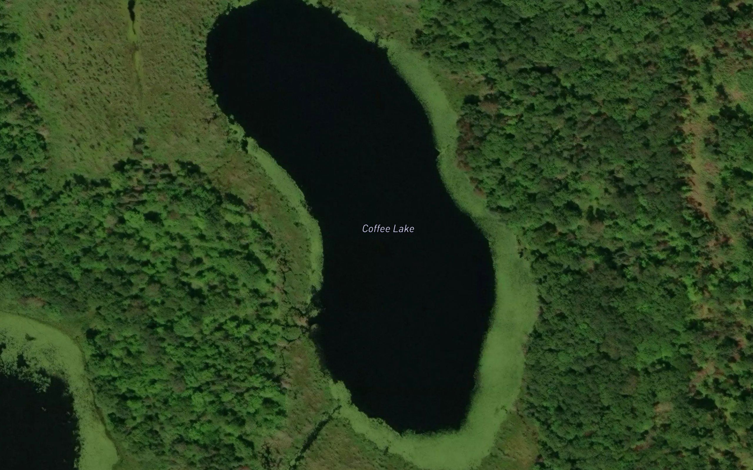 Coffee Lake