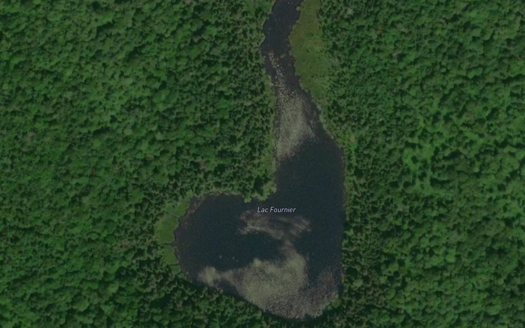 Satellite map of the Lac Fournier