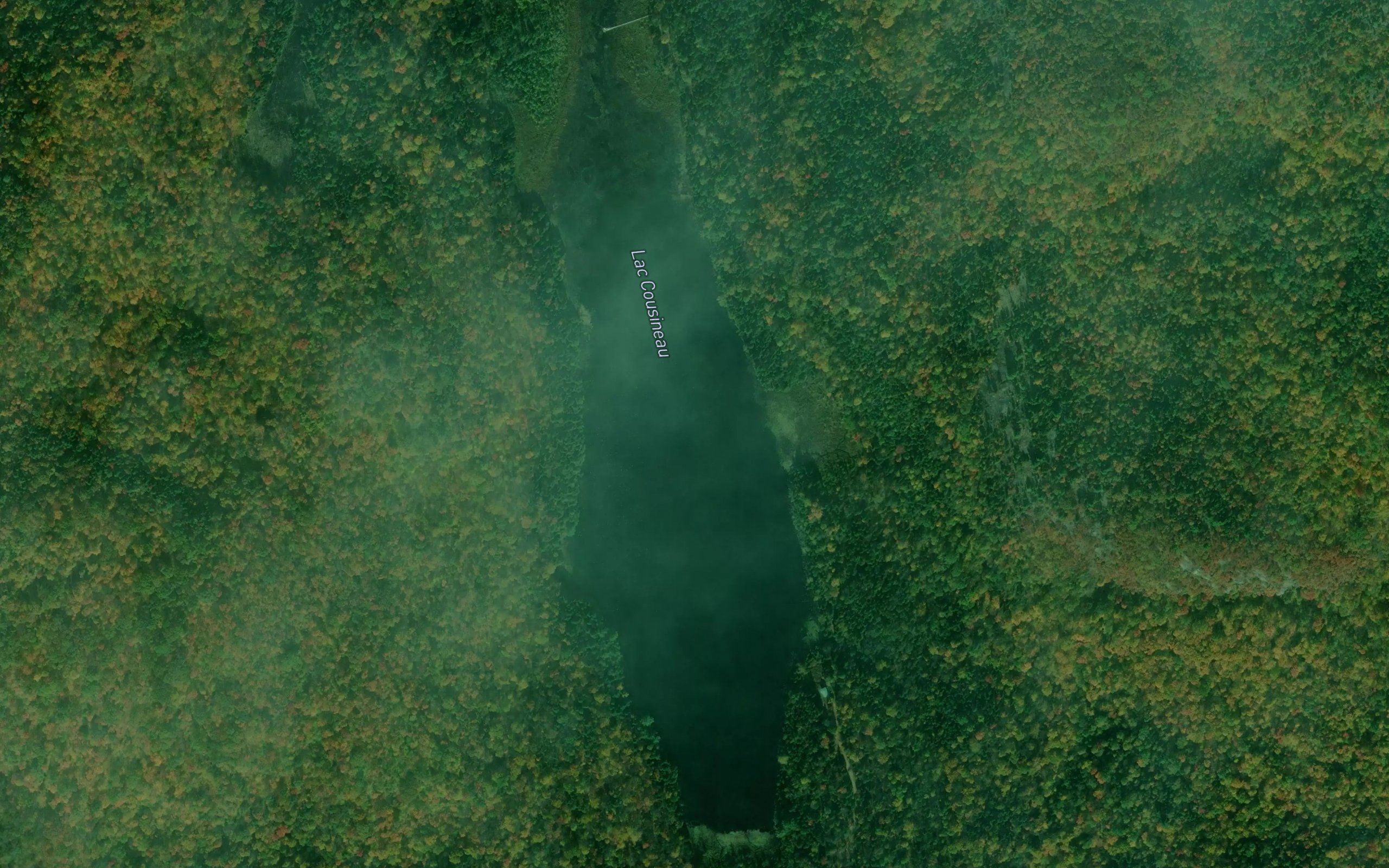 Lac Cousineau