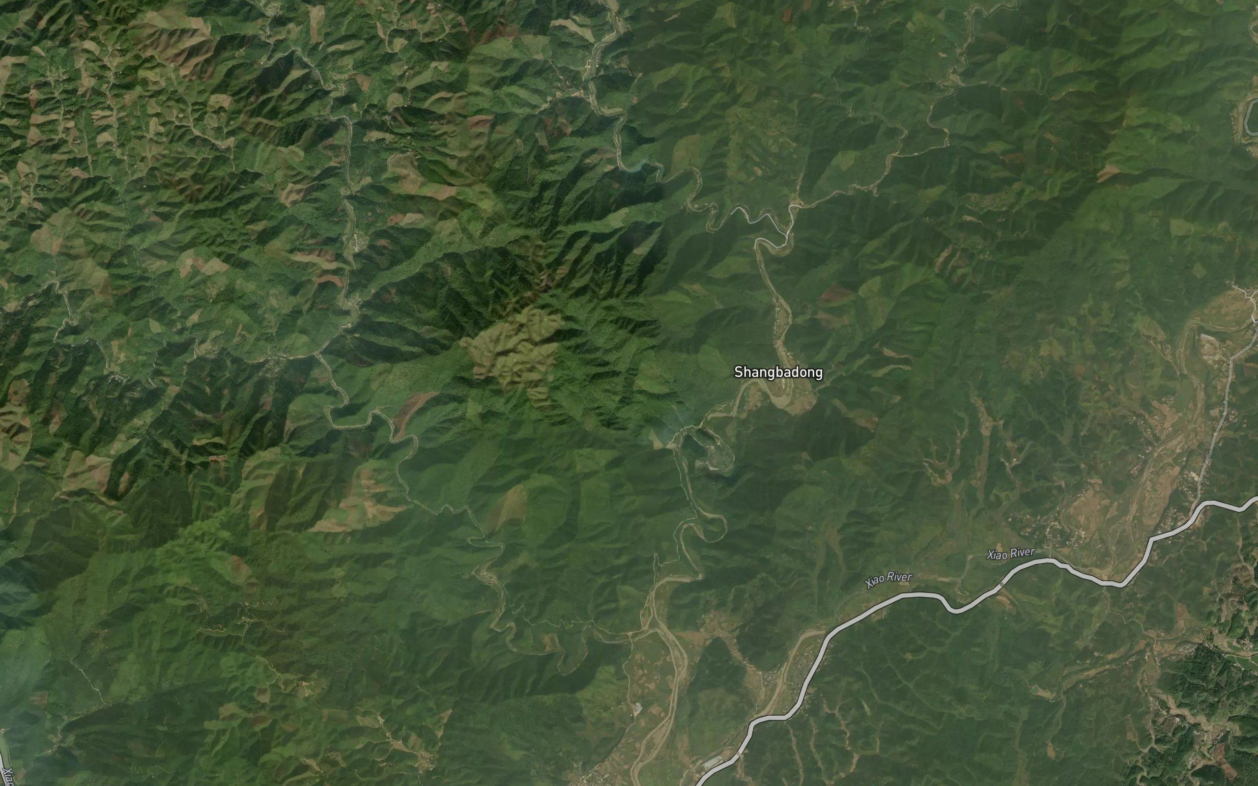 Shen Shui