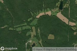 Vanderman Branch