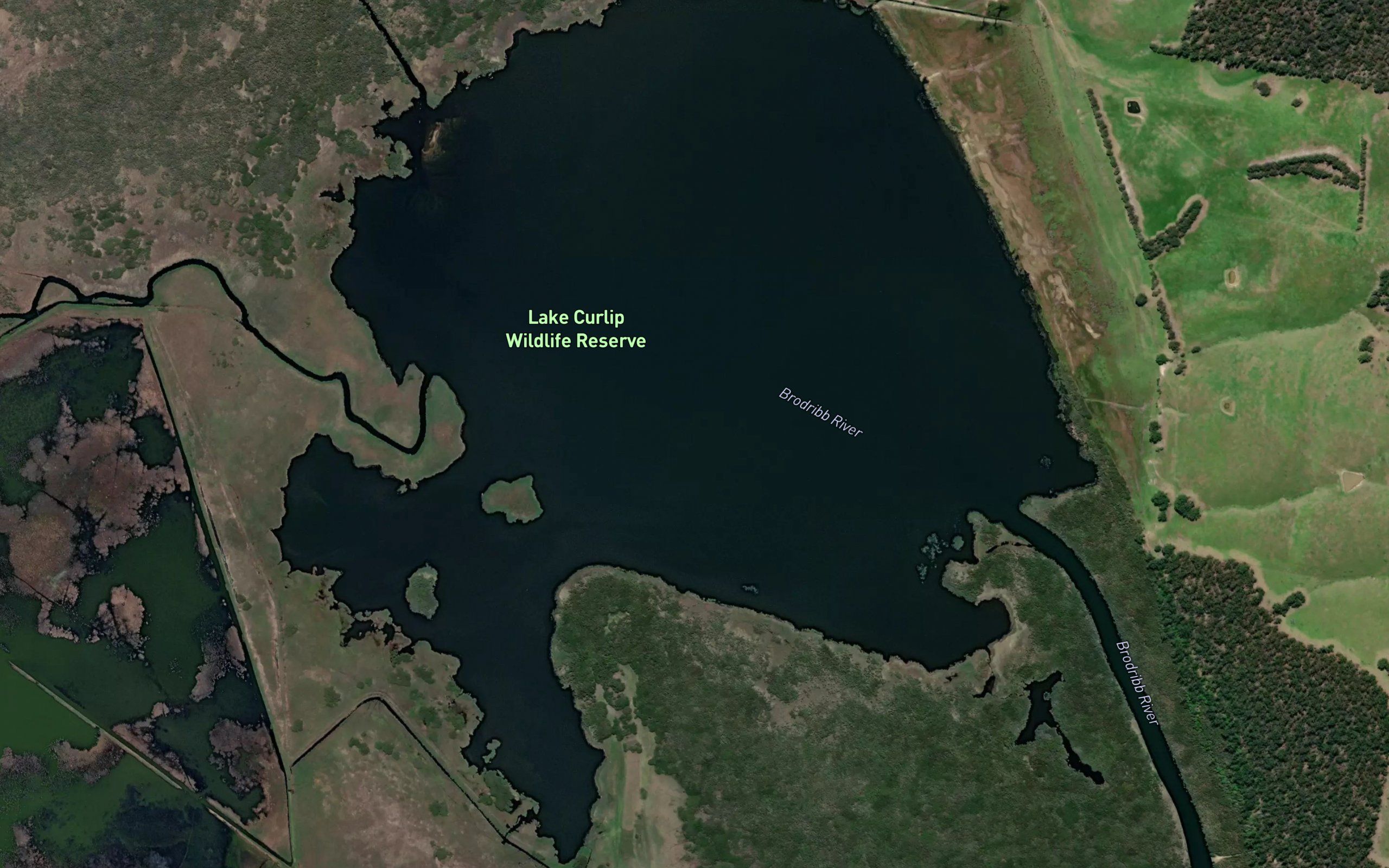 Lake Curlip