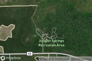 Juniper Springs