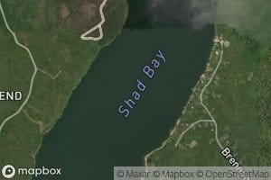 Shad Bay