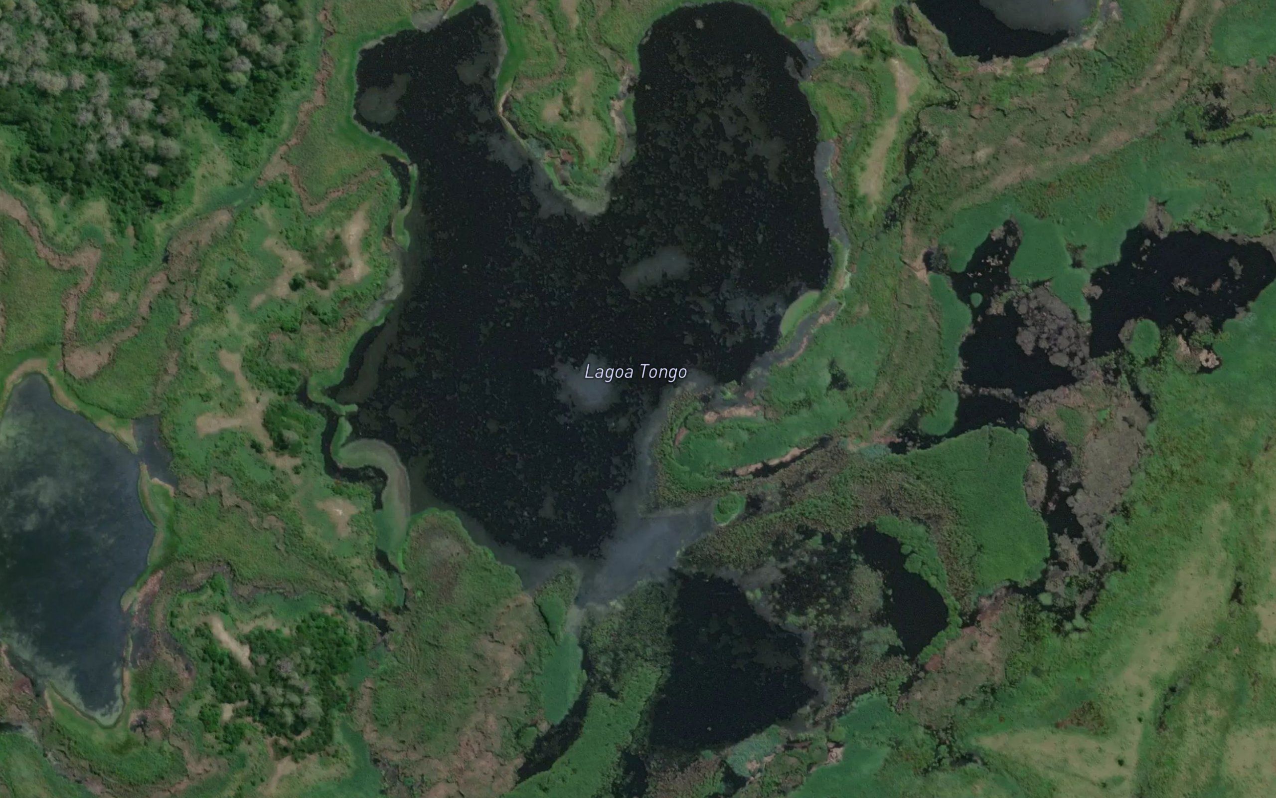 Lagoa Tongo