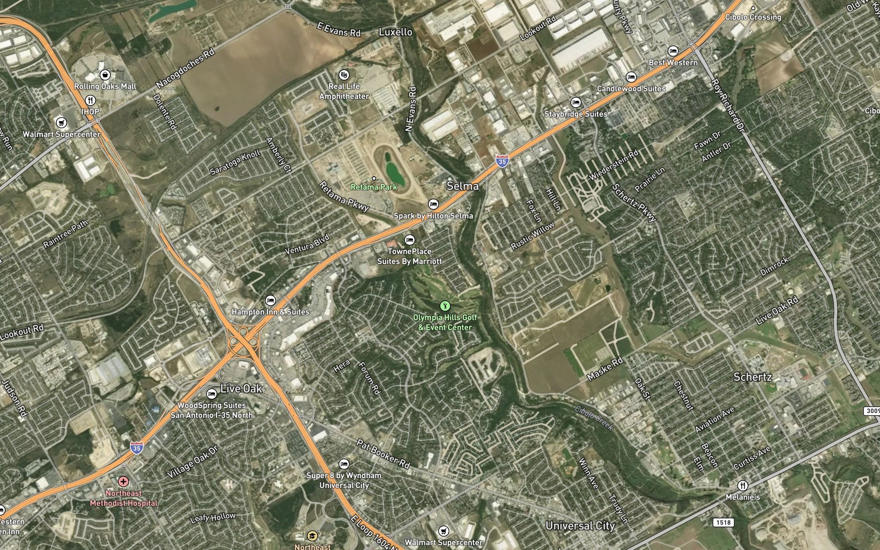 Satellite map of the Selma Spring