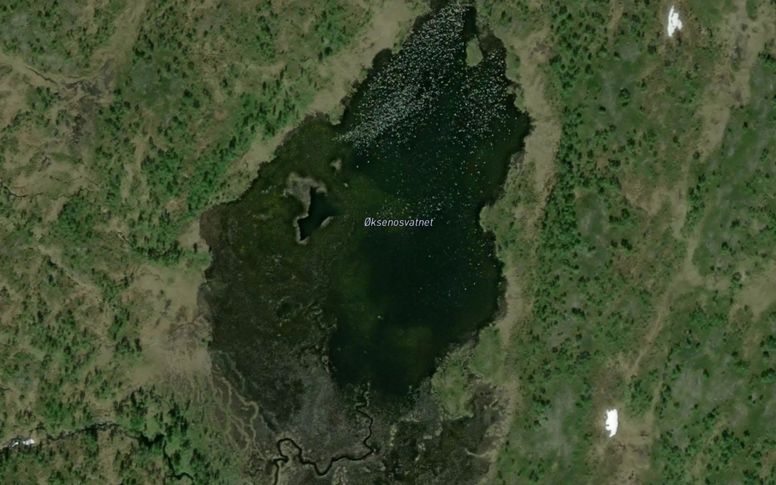 Oksenosvatnet