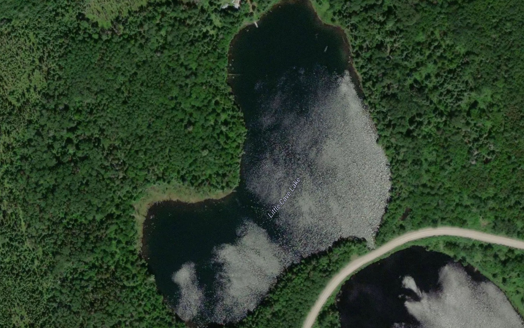 Satellite map of the Little Cave Lake