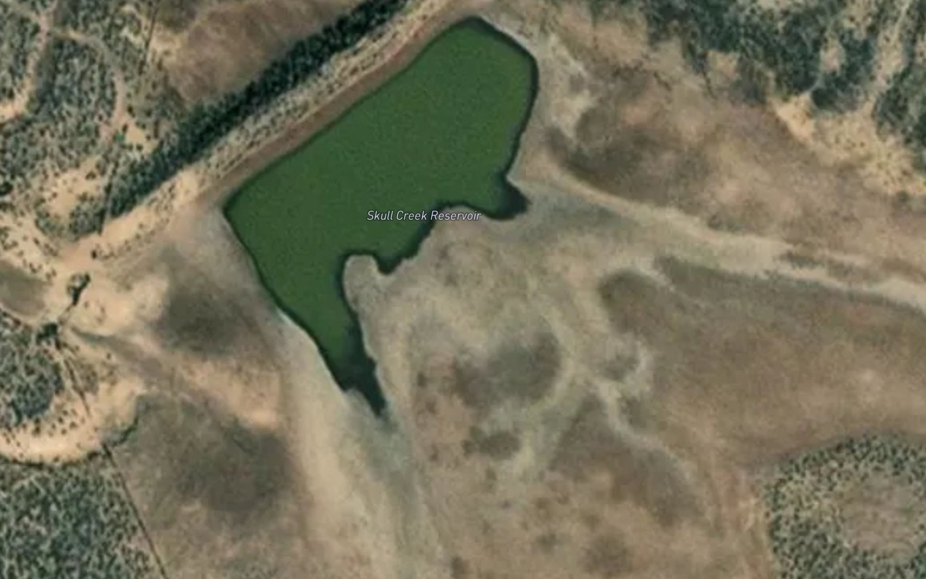 Satellite map of the Skull Creek Reservoir