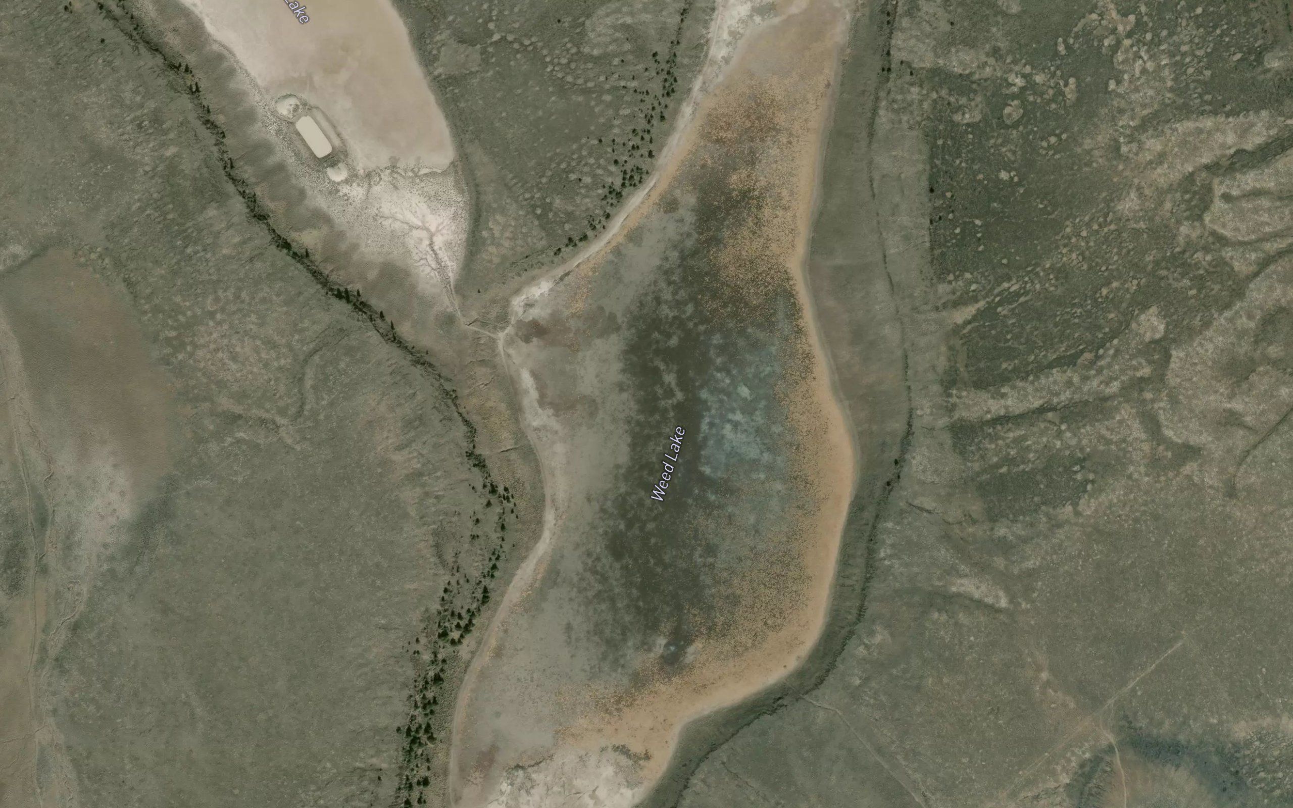 Weed Lake
