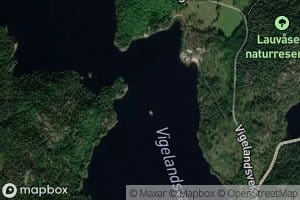 Vigelandsvannet