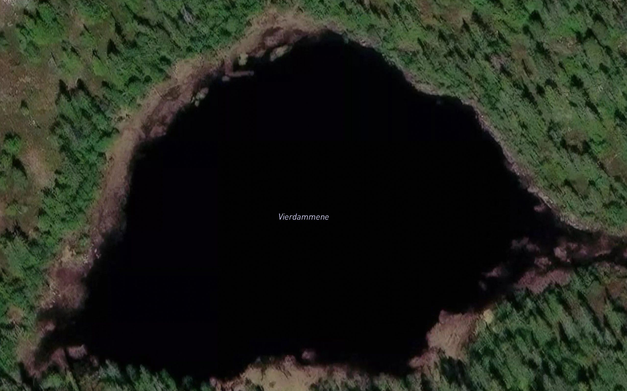 Vierdammene