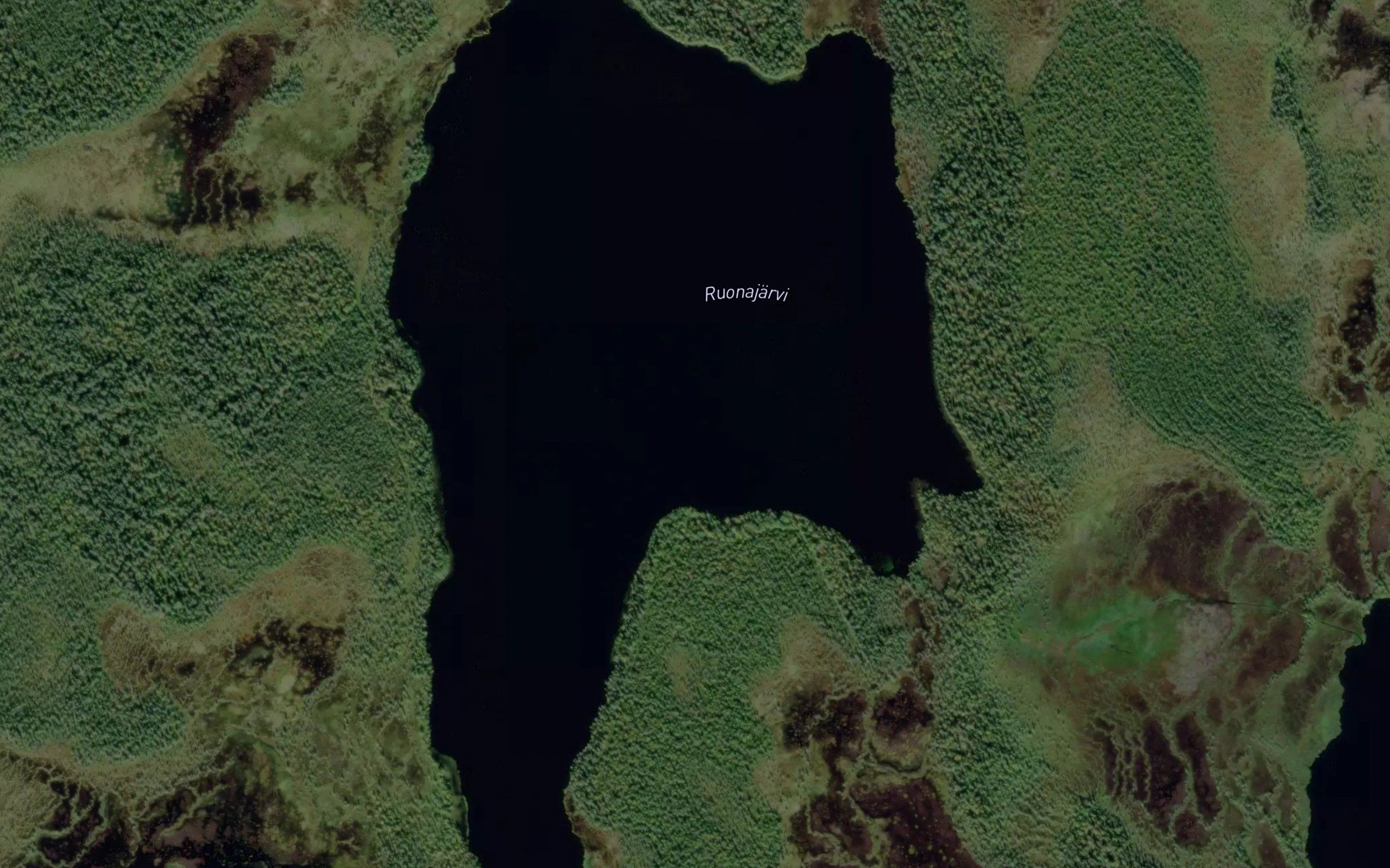 Ruonajarvi
