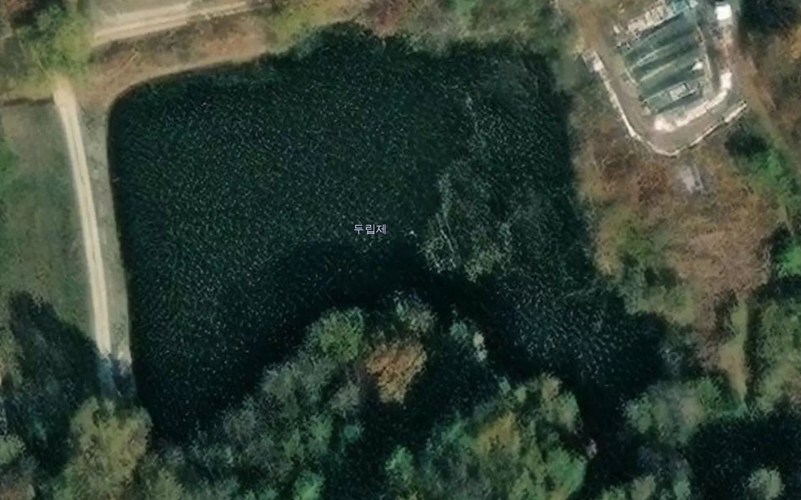 Duipje