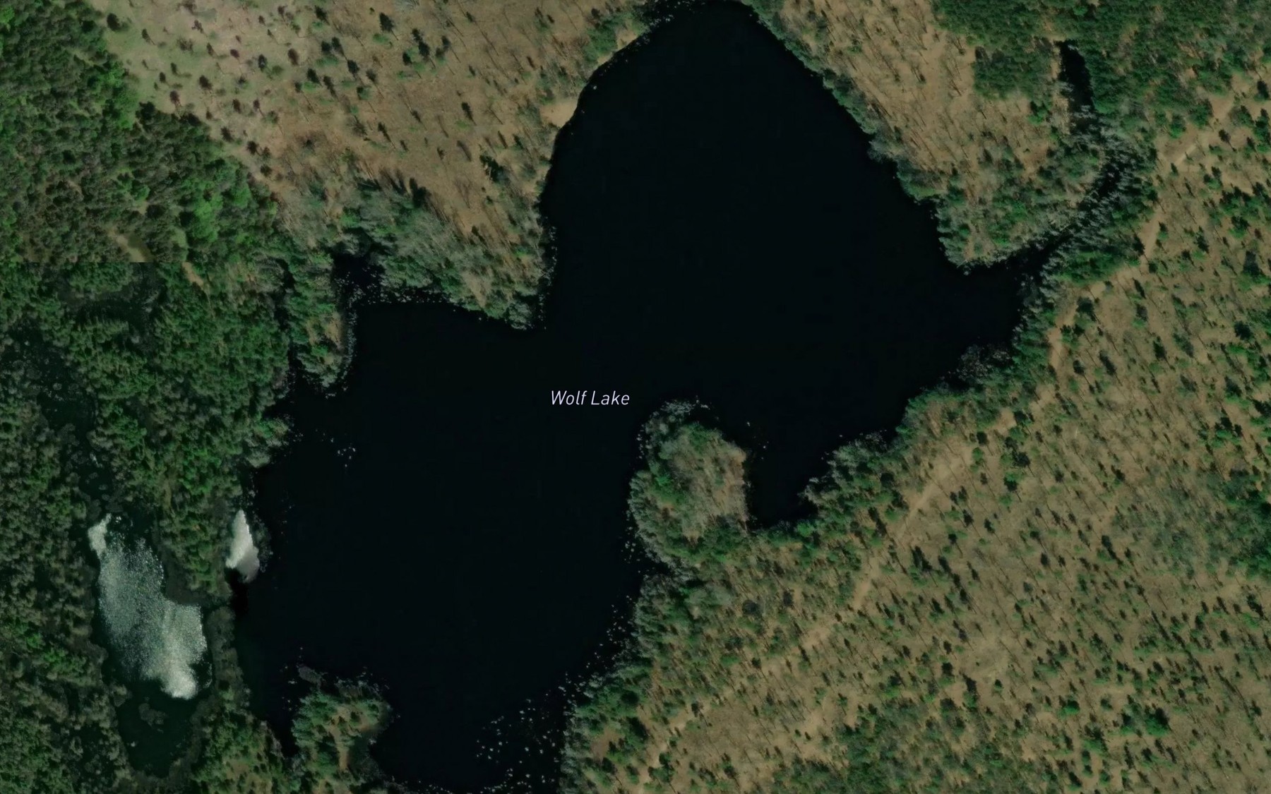 Satellite map of the Wolf Lake