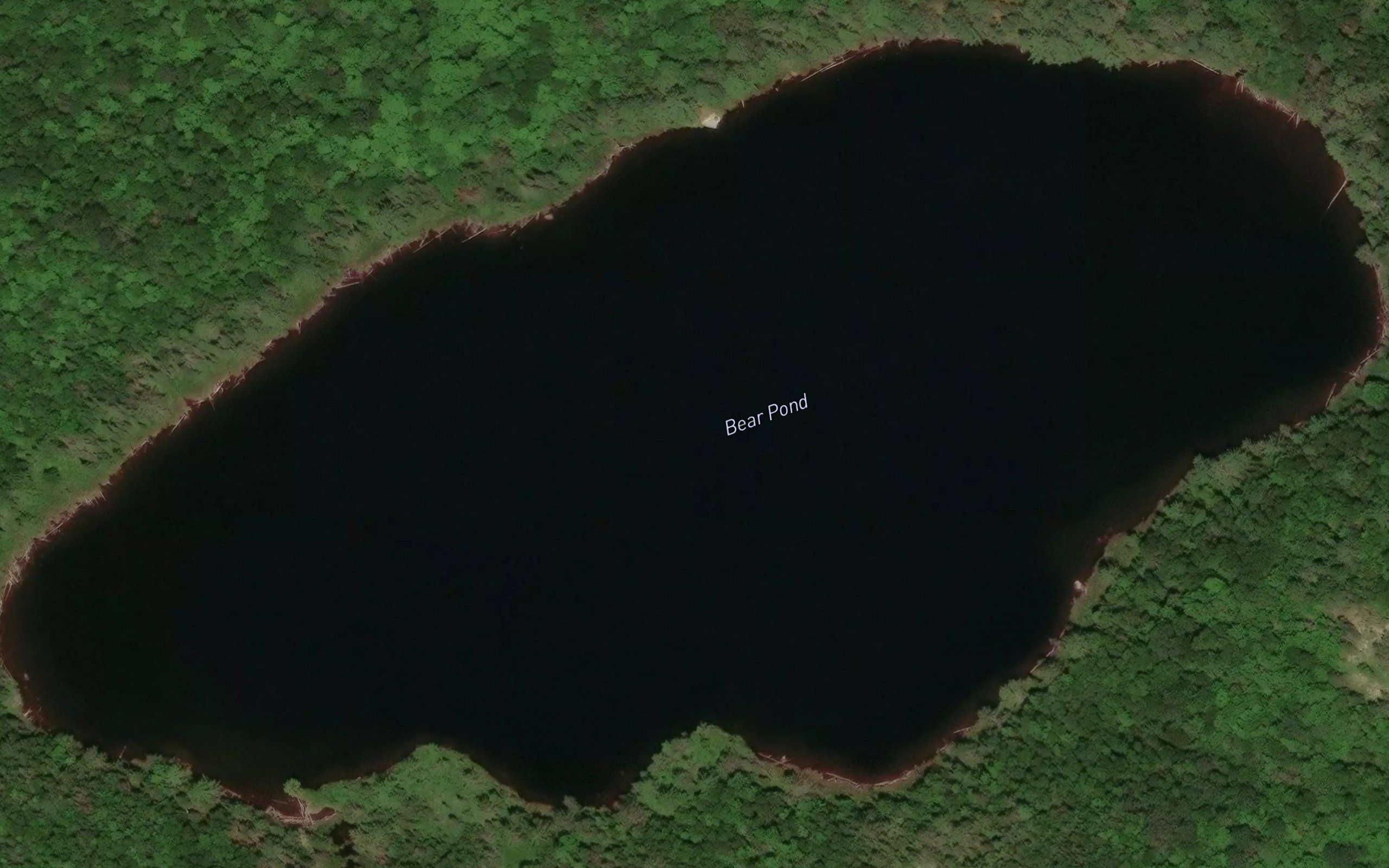 Bear Pond