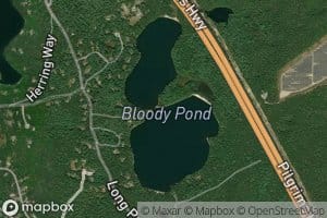 Bloody Pond