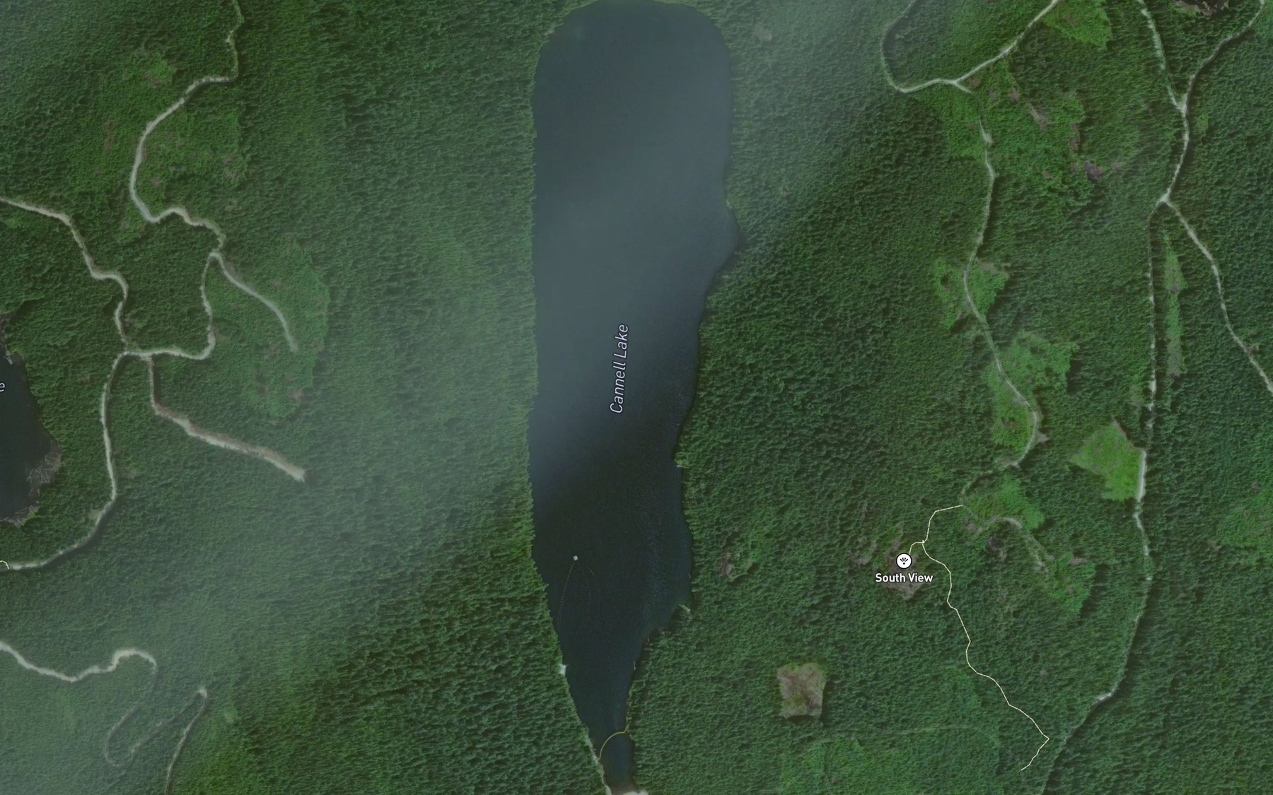 Satellite map of the Cannell Lake