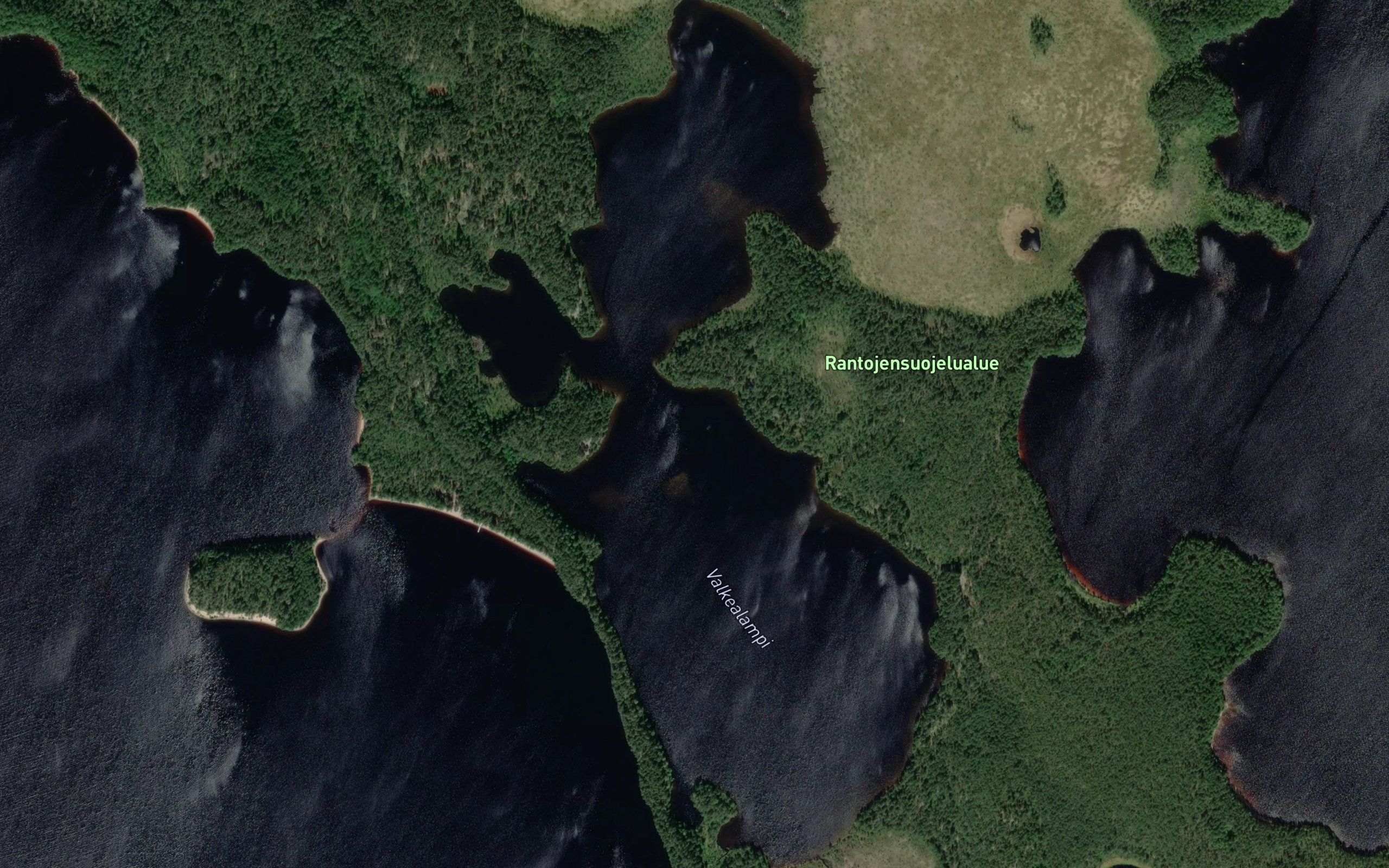 Valkealampi