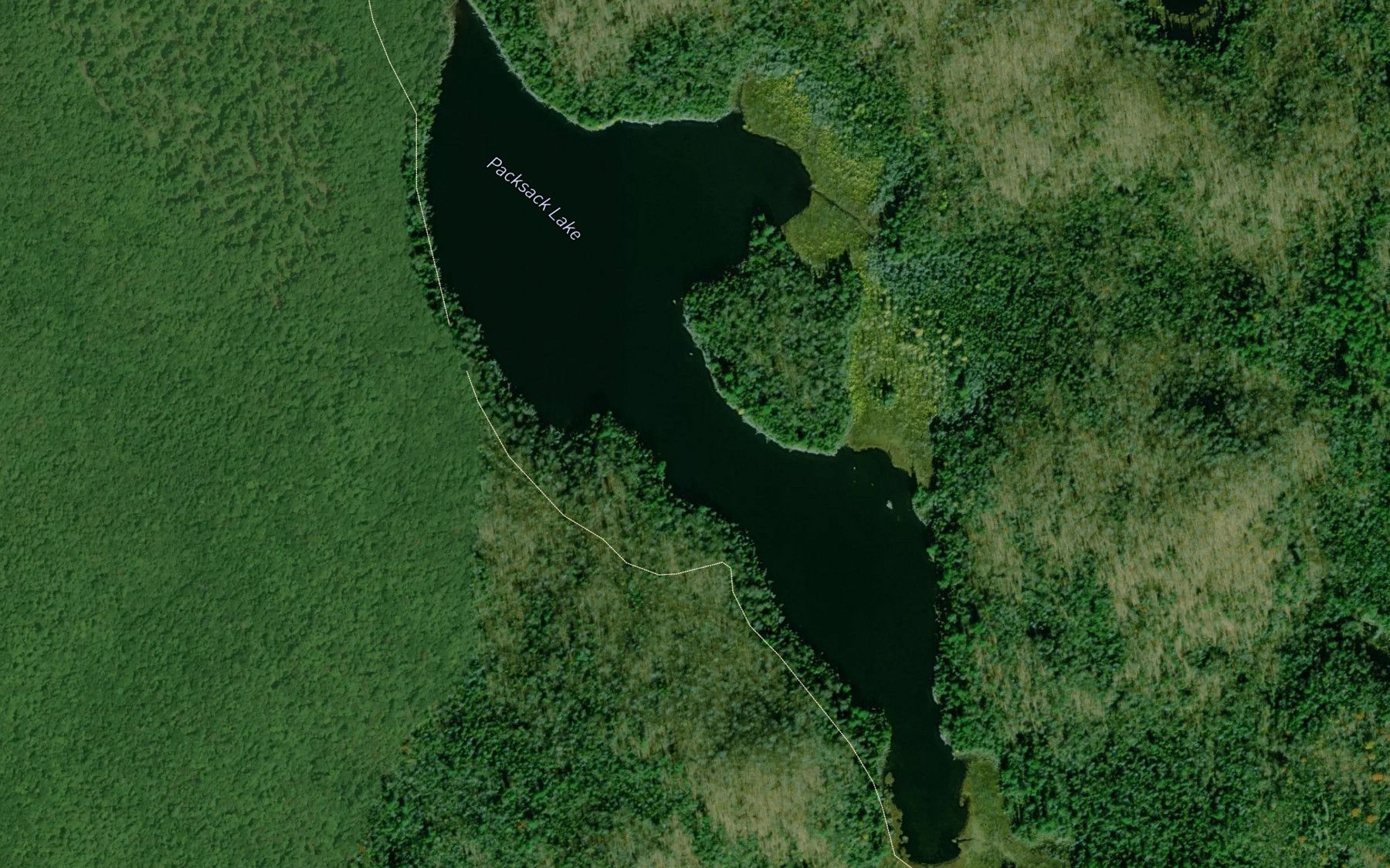 Satellite map of the Packsack Lake