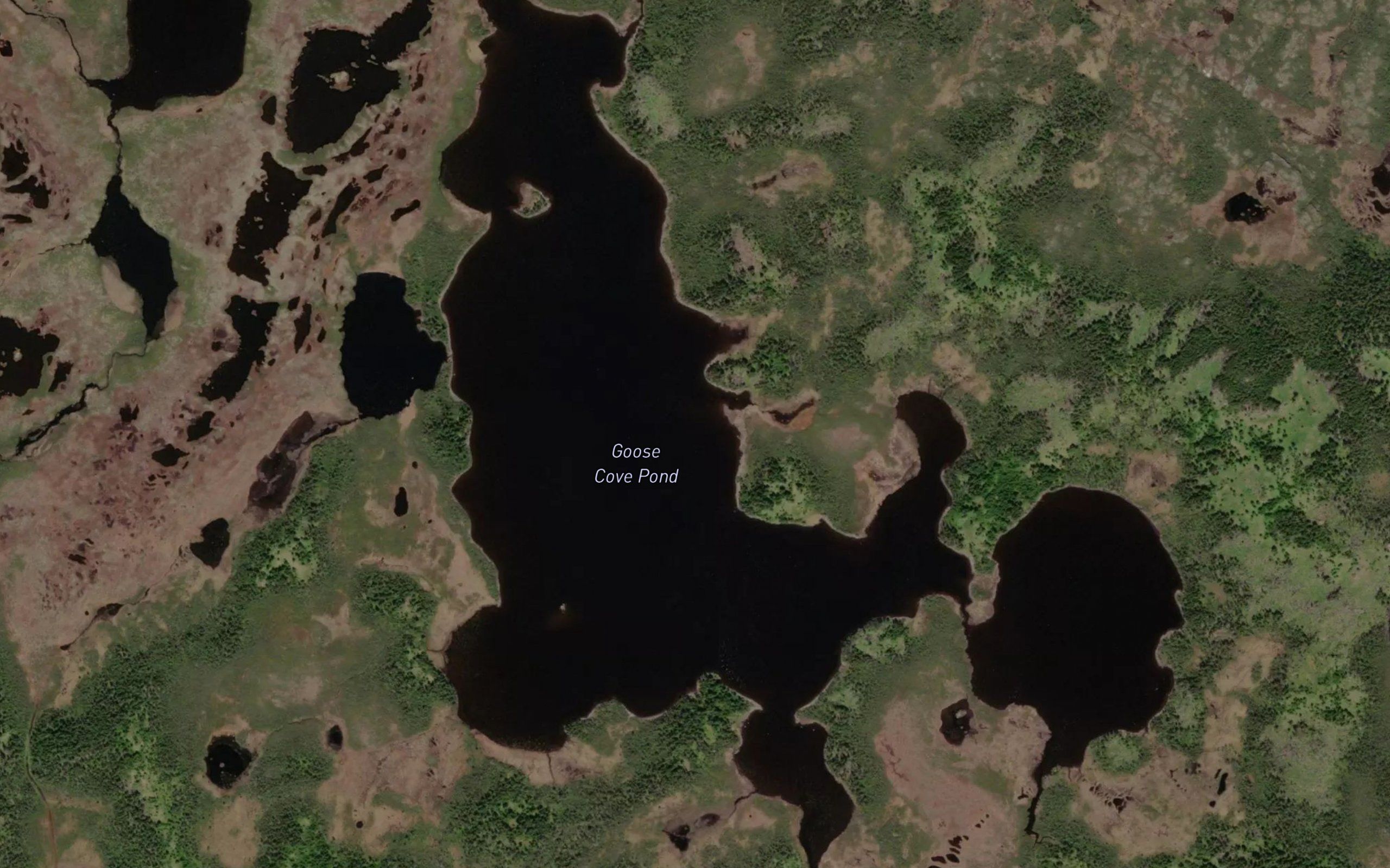 Goose Cove Pond