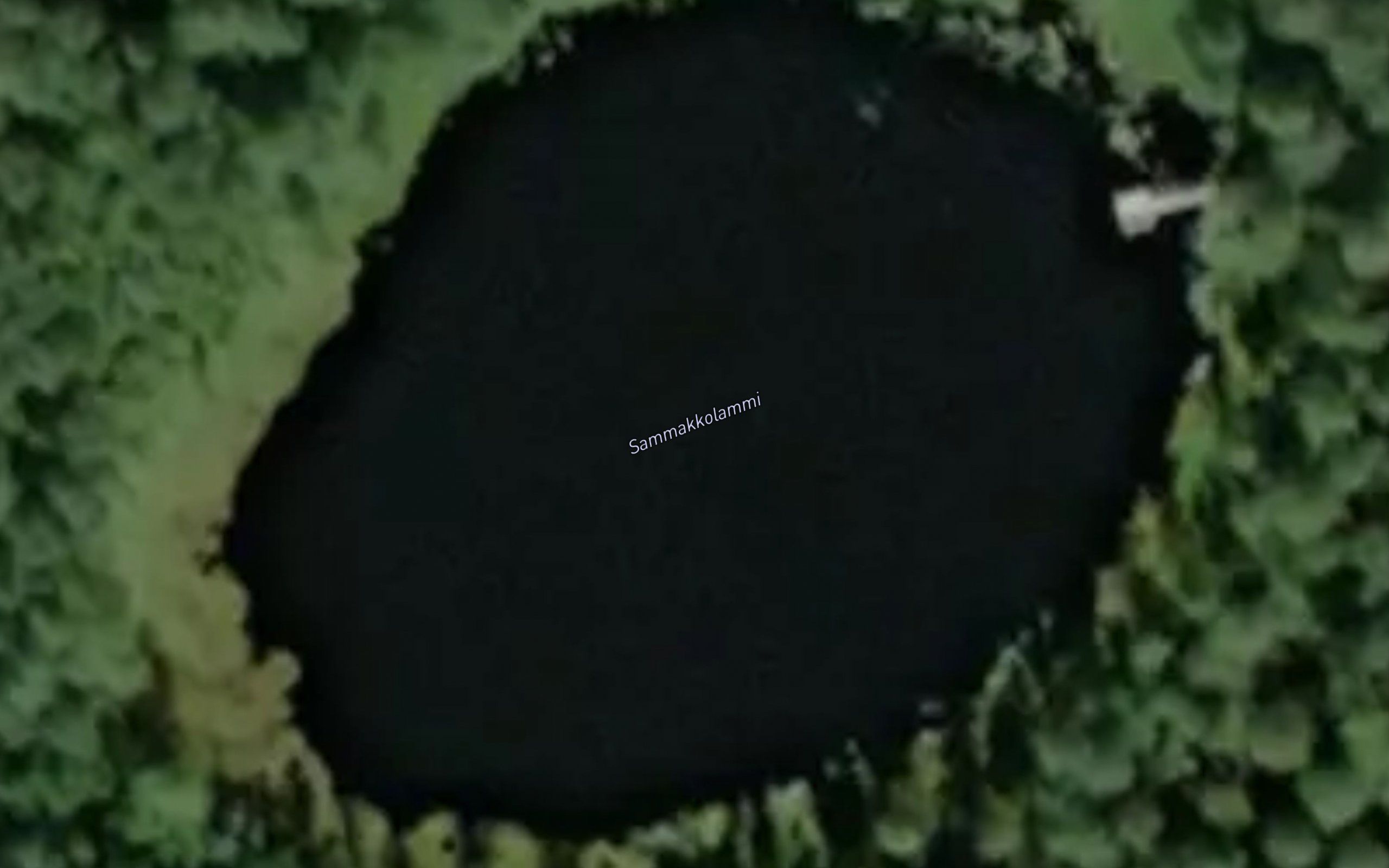 Sammakkolammi