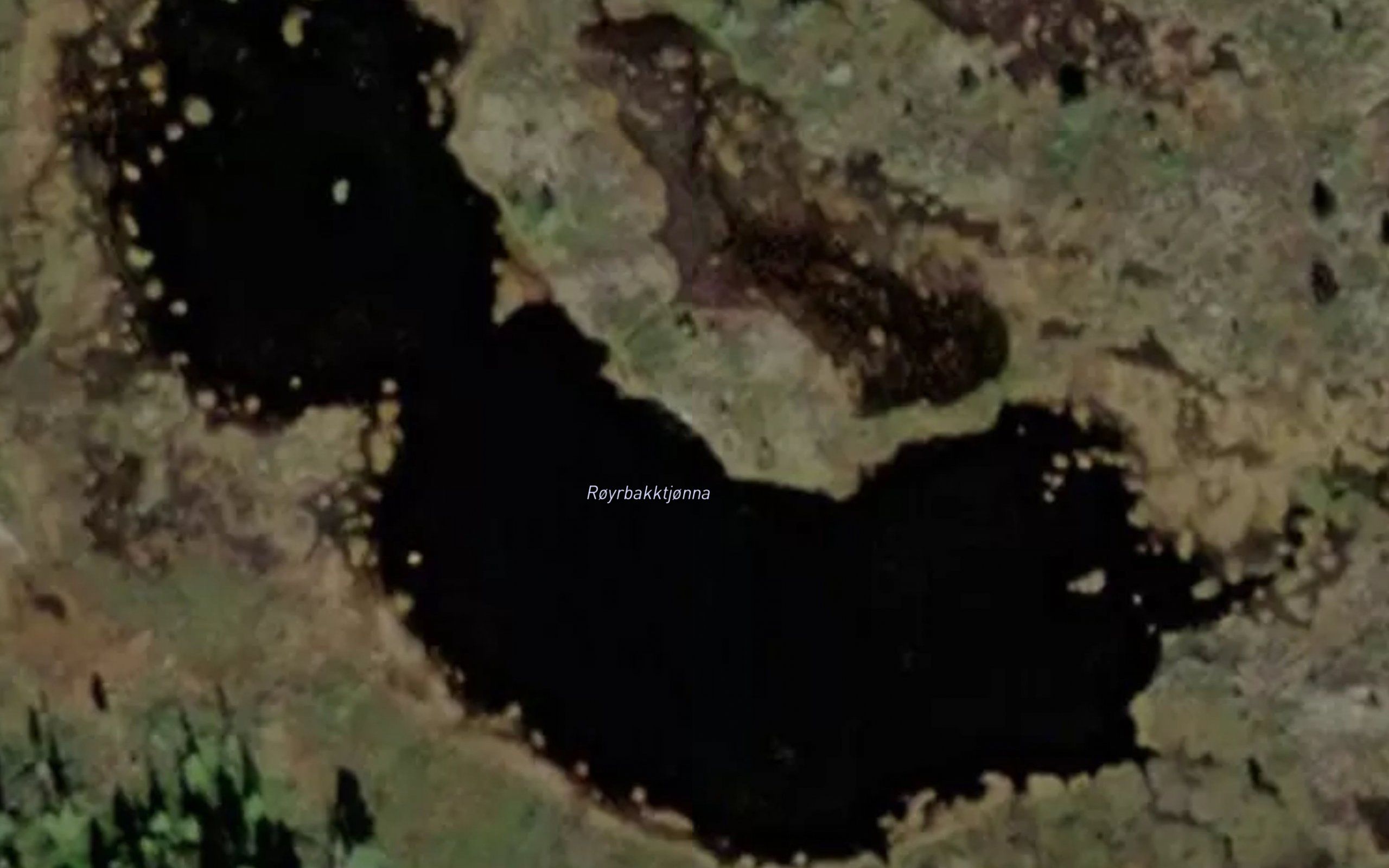 Royrbakktjorna