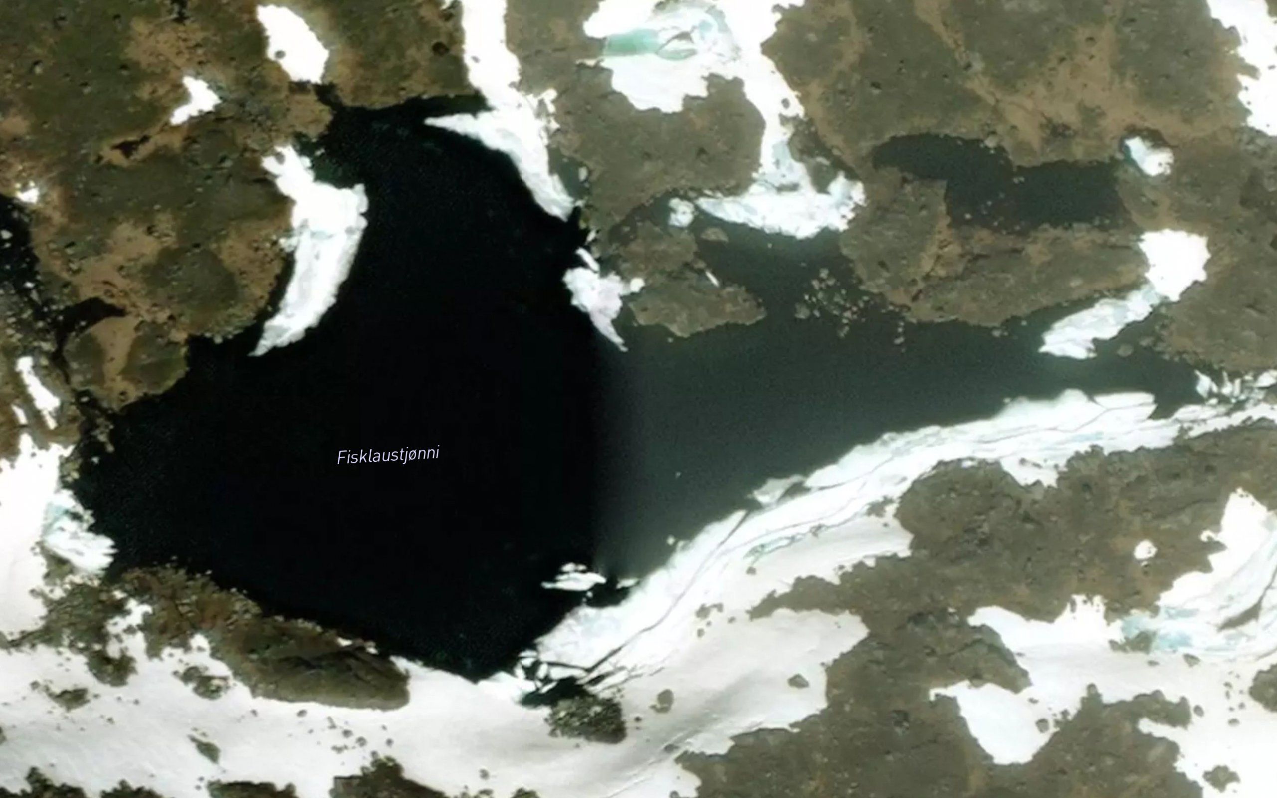 Fisklaustjorni