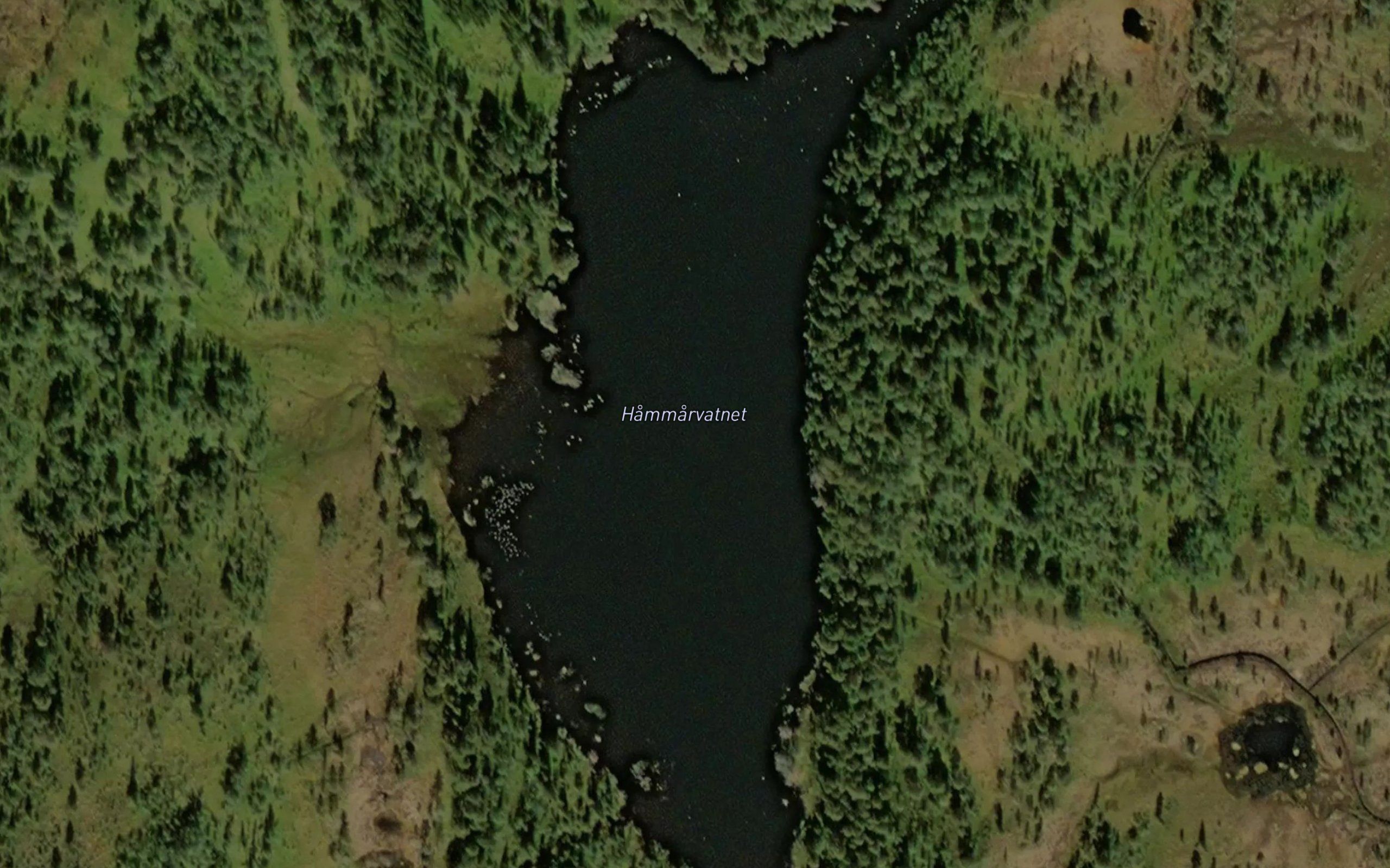 Hammarvatnet