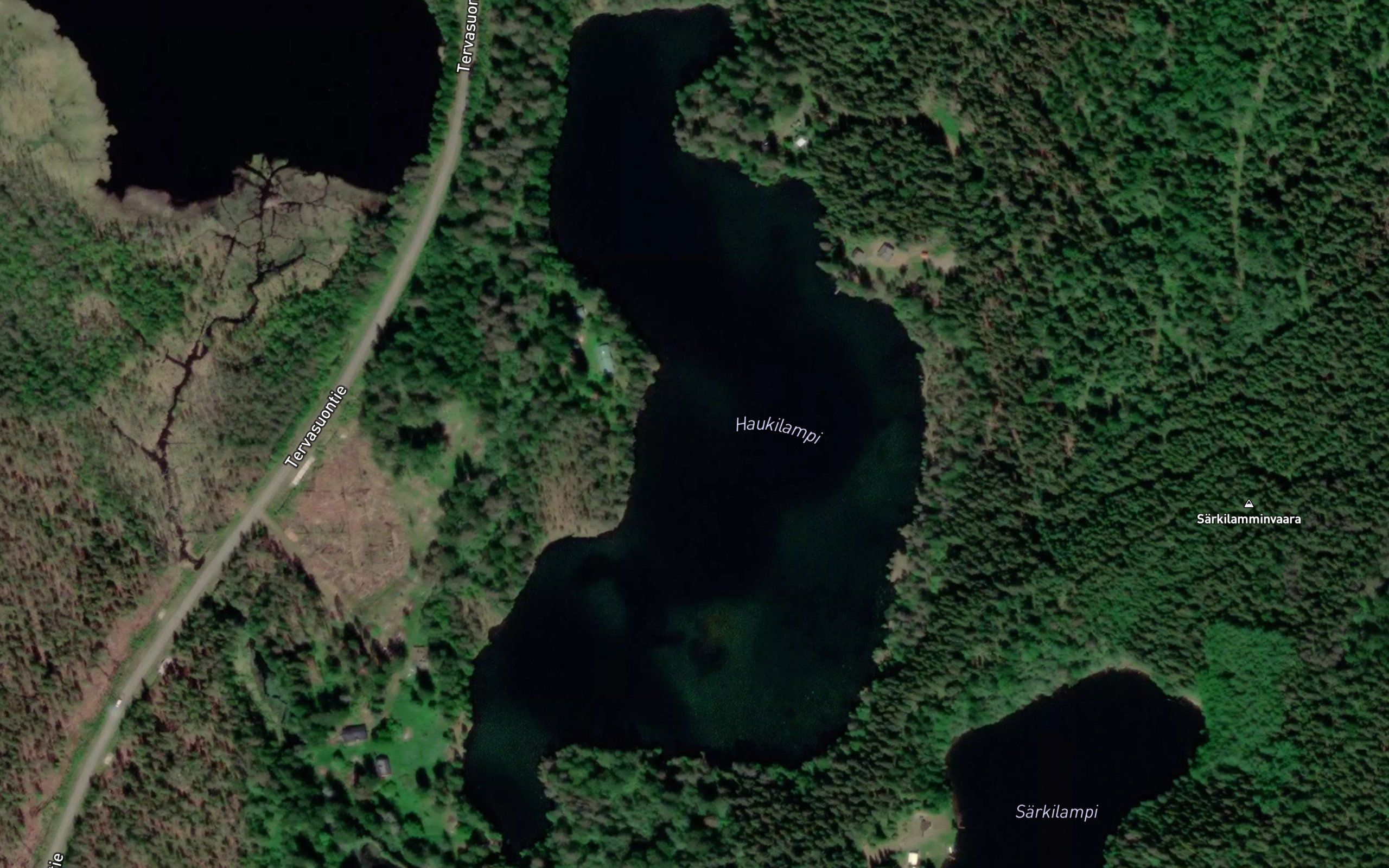 Haukilampi