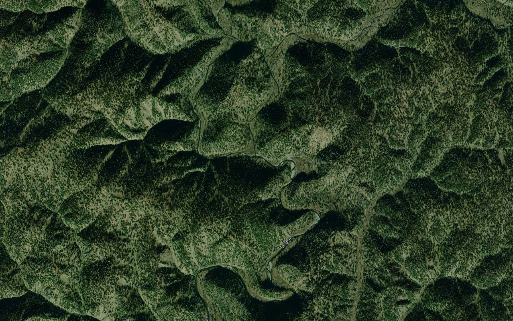 Satellite map of the Bol'shoy Taydon